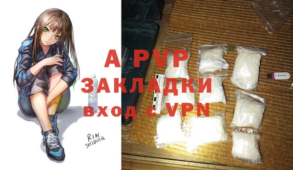PSILOCYBIN Няндома