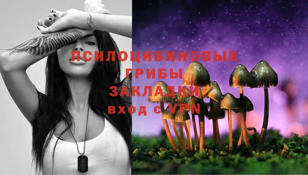 а пвп мука Армянск
