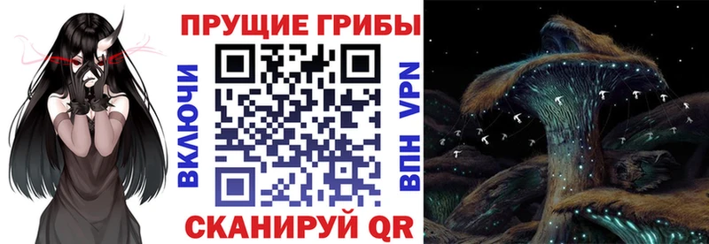 Псилоцибиновые грибы мицелий Спасск